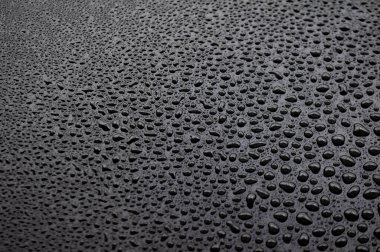 Karanlık arka planda yağmurdan sonra temiz su damlalarının görüntüsü. Su damlacıkları kavramı.