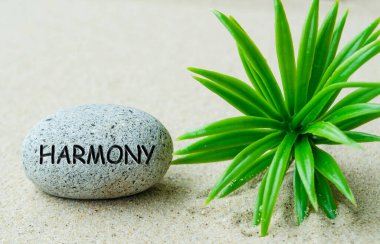 Bitki ve kum arkaplanlı taşa kazınmış harmoni metni.