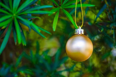 Noel dilekleri için kişiselleştirilebilir alanı olan Noel balosu ve çam ağacı arka planı. Noel kutlaması kavramı.