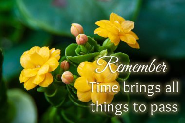 Unutma, zaman her şeyi sarı çiçekli metne dönüştürür. Motivasyon kavramı.