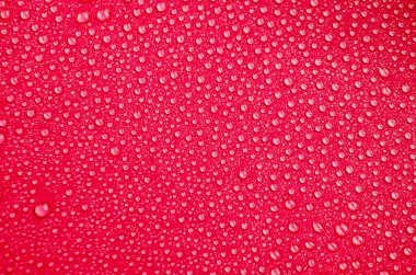 Kırmızı Arkaplanda Dinlenen Damlacıkların Ayrıntılı Görünümü.