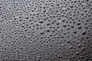 Siyah arka planı olan su damlacıkları. Duvar kağıdı tasarımı için elverişli