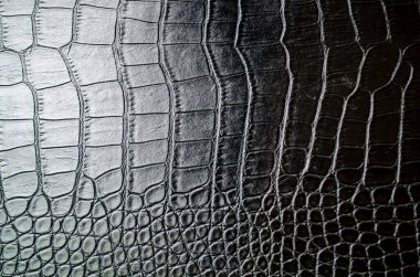 Metin veya maket için özelleştirilebilir alanı olan siyah timsah derisi arkaplanını temizle.