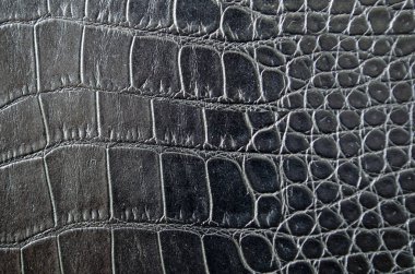 Metin için özelleştirilebilir alanı olan siyah timsah derisi arkaplanı kapat. Vahşi yaşam kavramı ve kopyalama alanı.