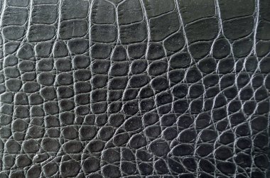 Metin için özelleştirilebilir alanı olan siyah timsah derisi arkaplanı temizle. Vahşi yaşam konsepti.