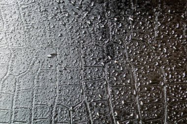 Metin veya maket için özelleştirilebilir alanı olan ıslak siyah timsah derisi arkaplanı.