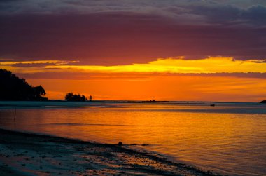 Okyanusun Üzerinde Altın Gün Batımı Nazikçe Kıyıya Dokunan Dalgalar
