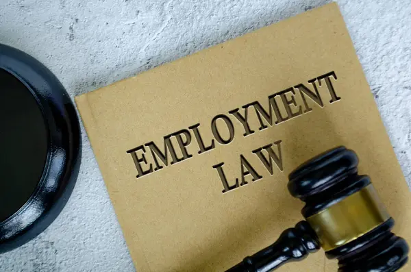 Mermer zemin üzerinde tokmağı olan İstihdam Hukuku kitabının üst görünümü.