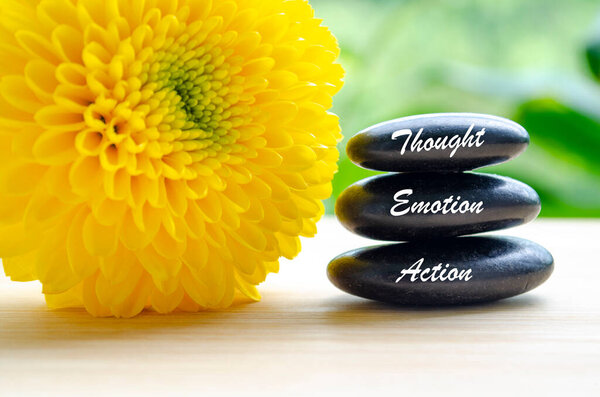 Текст мысли, эмоций и действия на дзен-камнях с цветущим желтым цветком.