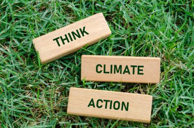 Tahta bloklar üzerine iklim eylem metni, gezegen için acil adımlar atma çağrısı olarak hizmet veriyor. Eylemcilik ve farkındalık kavramı.