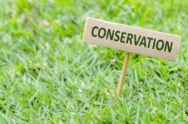 KONSERVASYON, çimen arka planı hakkında basılı sözlerle tek tahta blok koruma bilincini ve çevre bakımını destekliyor.