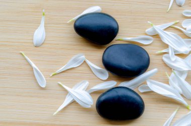 Yığılmış siyah taşların yanındaki taze beyaz çiçeğin üst görünümü. Metin için özelleştirilebilir boşluğu olan doğal denge..