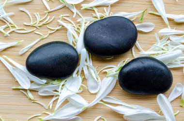 Metin için kişiselleştirilebilir alanı olan sakin kompozisyonda yapraklı arkaplan içeren siyah taşlar.