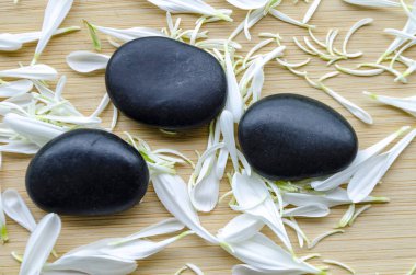 Metin için özelleştirilebilir alanı olan sakin kompozisyonda yapraklı arkaplan ile siyah taşların üst görünümü.