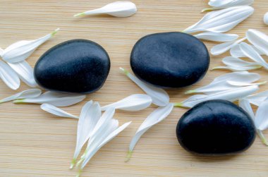 Yığılmış siyah taşların yanında taze beyaz çiçek. Metin için özelleştirilebilir alanı olan doğal denge..