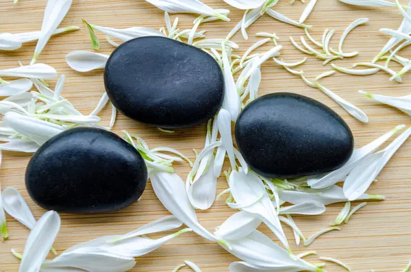 Metin için özelleştirilebilir alanı olan sakin kompozisyonda yapraklı arkaplan ile siyah taşların üst görünümü.