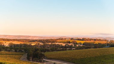 Güney Avustralya 'da gün batımında McLaren Vale Panoraması.