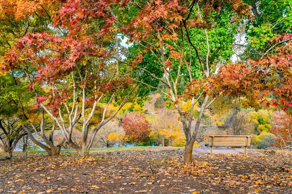 Mount Lofty Public Park Day Autumn Season — Stock Photo, Image