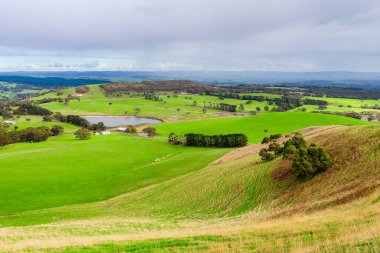 Adelaide Hills 'in yeşil tarlaları kış mevsiminde yukarıdan, Güney Avustralya