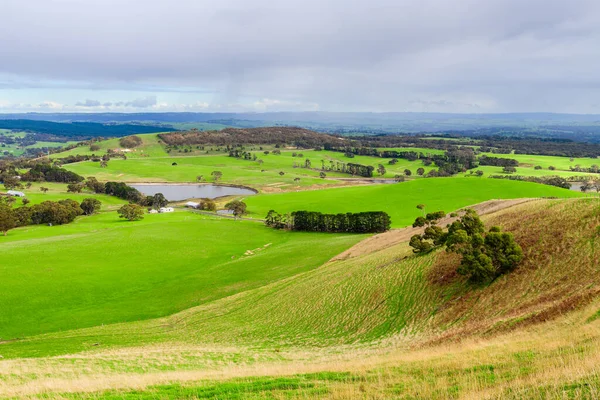 Zielone Pola Uprawne Adelaide Hills Sezonie Zimowym Góry Australia Południowa — Zdjęcie stockowe