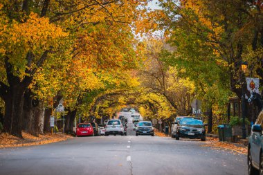 Adelaide Hills, Güney Avustralya - 1 Mayıs 2021: Sonbahar sezonu boyunca arabalarla Hahndorf Main Caddesi