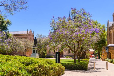 Adelaide, Güney Avustralya - 28 Aralık 2022: Adelaide Üniversitesi kampüs binası, bir günde Goodman Hilal 'ı boyunca uzanan bir anıt ve jakaranda ağacı çiçekleri görülüyor
