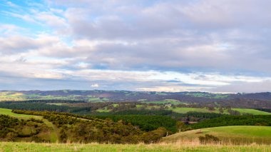 Adelaide Hills, Güney Avustralya 'da kış mevsiminde yeşil panorama