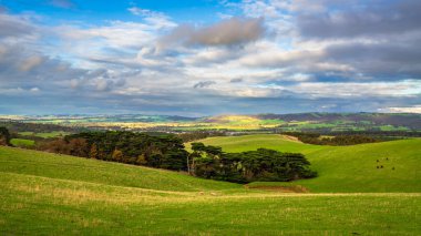 Adelaide Hills 'in yeşil tarlaları kış mevsiminde yukarıdan, Güney Avustralya