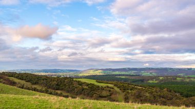 Adelaide Hills, Güney Avustralya 'da kış mevsiminde yeşil panorama