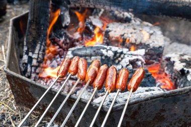 Kamp ateşi barbekü sosisleri Güney Avustralya 'daki Kuitpo Ormanı kamp alanında şiş şişler üzerinde pişiyor.
