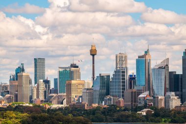 Sydney City Ufuk Çizgisi Panoraması. Yukarıda bir uçak kalkıyor. Aydınlık bir günde Bradley 's Head limanının karşısından seyrediliyor.