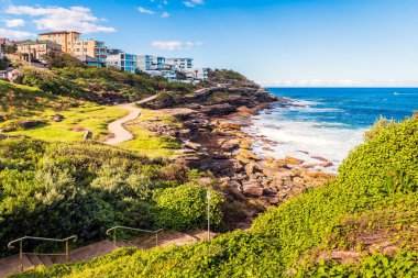 Tamarama kıyı manzaralı, parlak bir günde kıyı şeridi boyunca yürüyen patika, Sydney, Avustralya