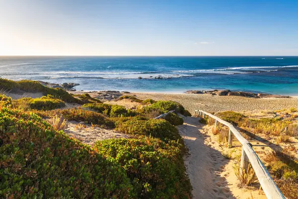 Güney Avustralya, Yorke Yarımadası 'ndaki Innes Ulusal Parkı' nda Browns Plajı 'na giden yol