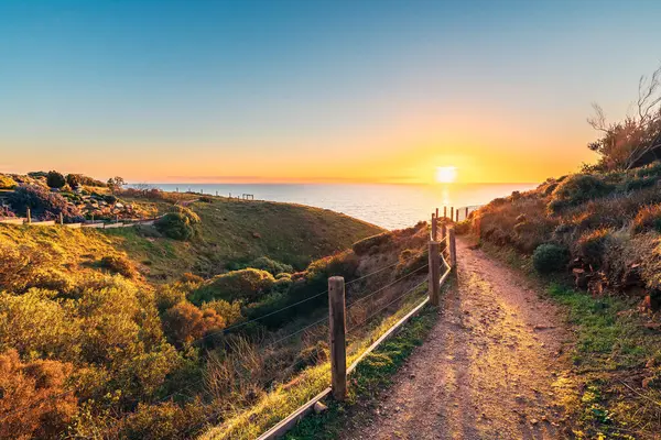 Günbatımında okyanus manzaralı Hallett Koyu Koruma Parkı Sahil Yolu, Güney Avustralya