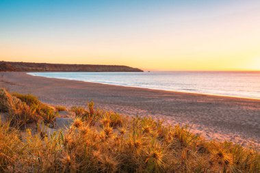 Günbatımında Maslin Sahili, Güney Avustralya 'daki Fleurieu Yarımadası' ndaki Red Ochre Koyu 'na doğru görüldü. 1975 'te plajın güney yarısı Avustralya' nın ilk resmi çıplak plajı ilan edildi..