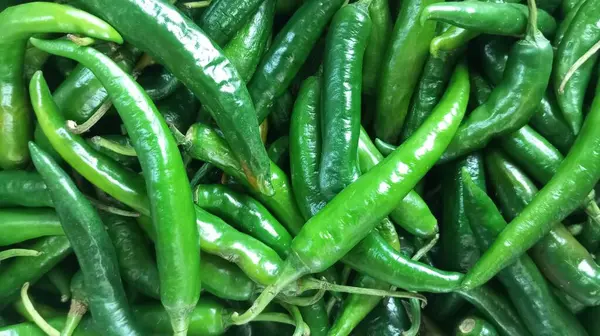 Taze yeşil biber yığını fotoğrafı.