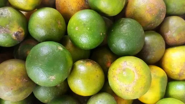 Taze içecek fotoğrafı için bir yığın portakal meyvesi.