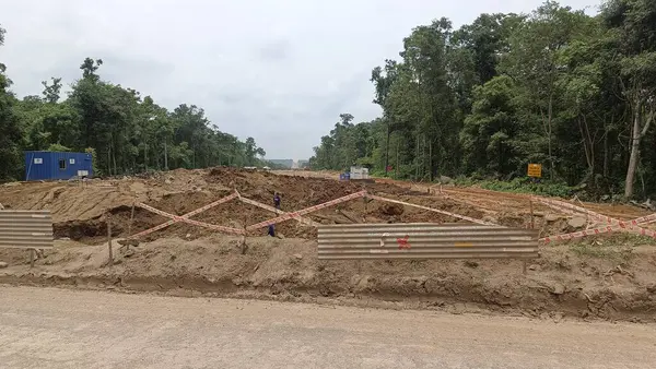 Otoyol inşaatı orman ve orman tahribatı boyunca devam ediyor.