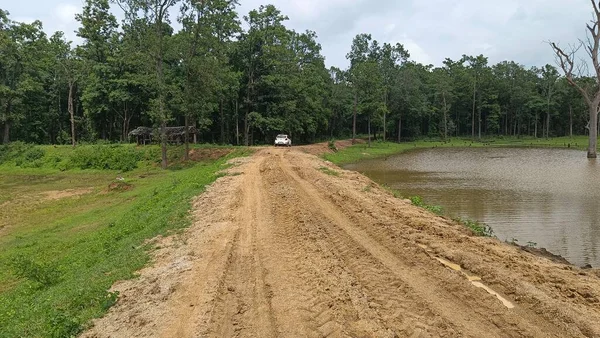 Ormana giden araba toprak yolda koşuyor.