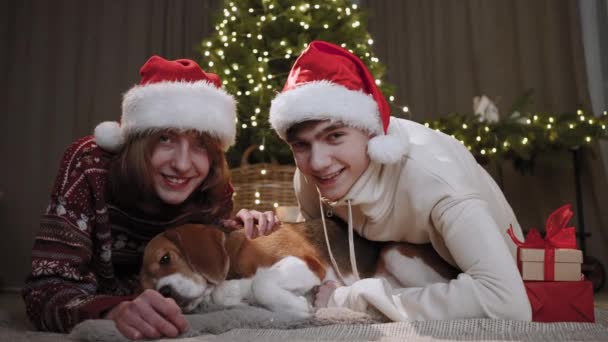 10代の若者たちは犬と一緒にクリスマスツリーの近くの地面に横たわって楽しい時間を過ごしています 感情的なシーン 背景にはクリスマスツリーの光が輝きます — ストック動画
