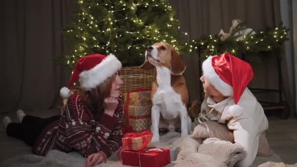 10代の若者は地面に横になり 隣に座って声を出す犬を見ています 背景にはクリスマスツリーの光が輝きます — ストック動画
