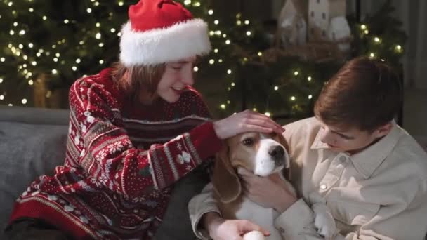 Έφηβοι Παίζουν Σκύλο Τους Φώτα Χριστουγεννιάτικων Δέντρων Λάμπουν Στο Παρασκήνιο — Αρχείο Βίντεο