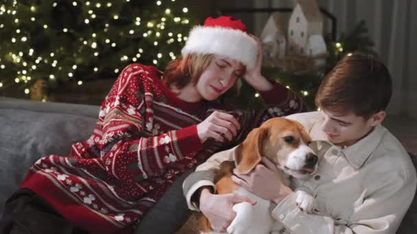 青少年们坐在沙发上和他们的狗玩耍 圣诞树上的灯在背景上闪闪发光 圣诞假期的概念 慢动作 — 图库视频影像