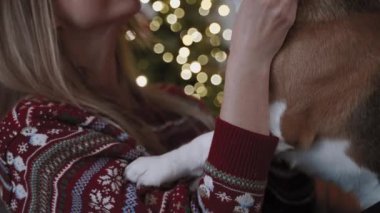 Noel atmosferi. Güzel bir kadın tatlı köpeğini okşar. Bulanık arka planda bir Noel ağacı parlıyor..