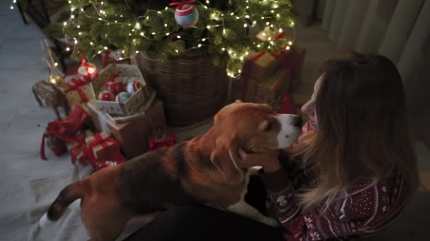 クリスマスの雰囲気 可愛いビーグル犬の会社を楽しんでいる美少女 クリスマスツリーはぼやけた背景で輝いている お正月のコンセプト — ストック動画