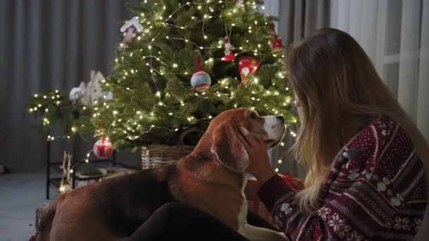 Krásná Dívka Užívá Společnost Svého Roztomilého Čistokrevného Psa Vánoční Stromeček — Stock video