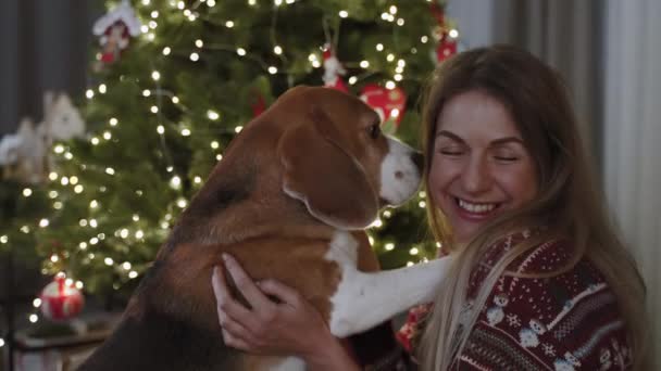 Рождественская Атмосфера Симпатичный Пес Взбирается Поцеловать Своего Прекрасного Владельца Рождественская — стоковое видео