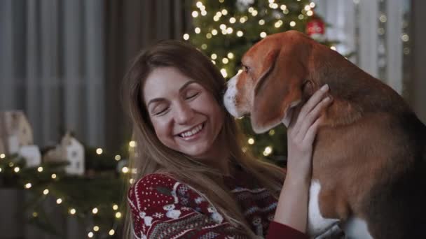 Рождественская Атмосфера Симпатичная Собака Нюхает Красивую Женщину Рождественская Елка Сияет — стоковое видео