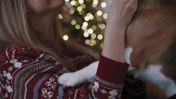 クリスマスの雰囲気 美しい女性が彼女の甘い犬を愛撫 ぼやけた背景にクリスマスツリーが輝いている — ストック動画