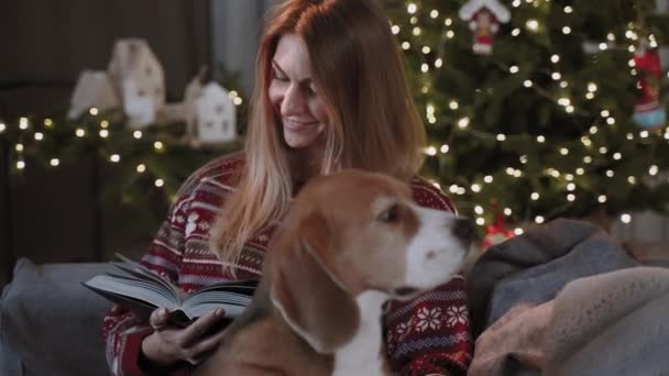 素敵な女性が本を読んで 彼女の犬の会社と新年の休日の居心地の良い雰囲気を楽しんでいます — ストック動画